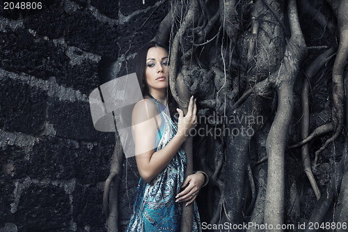 Image of Banyan solitude