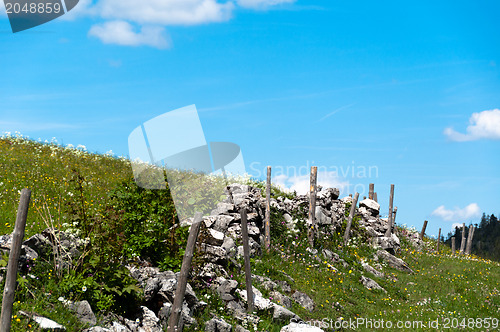 Image of Meadow in mountains