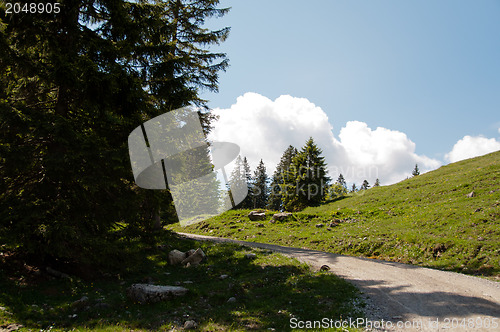 Image of Mountain Path