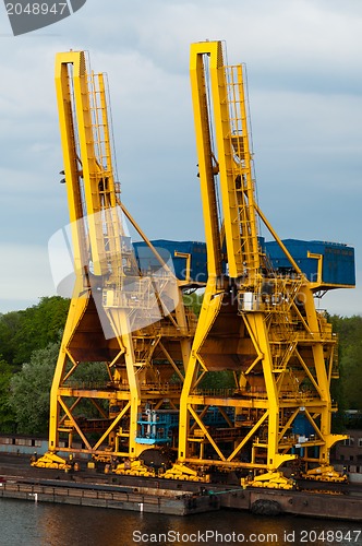 Image of Shipping Cranes