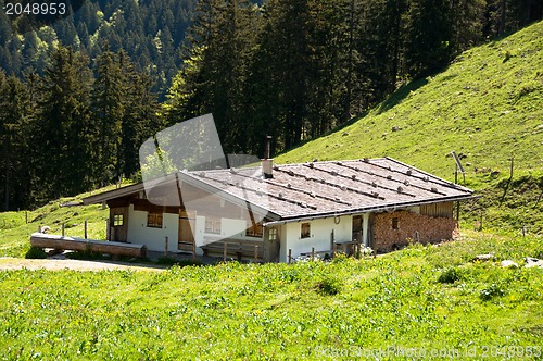 Image of Alpine Pasture