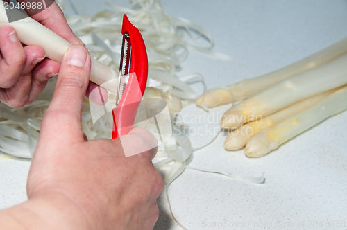 Image of Peeling Asparagus