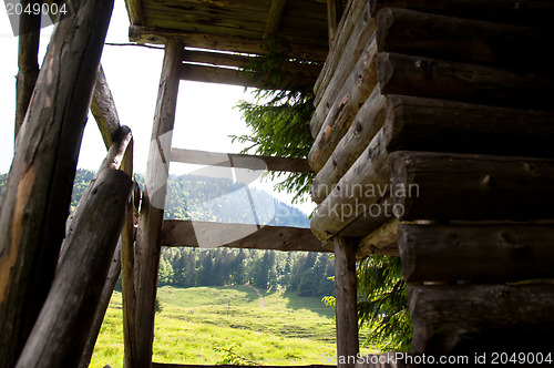 Image of Raised Hide