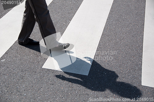 Image of Zebra Crossing