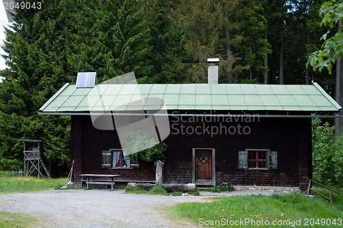 Image of Alpine Pasture