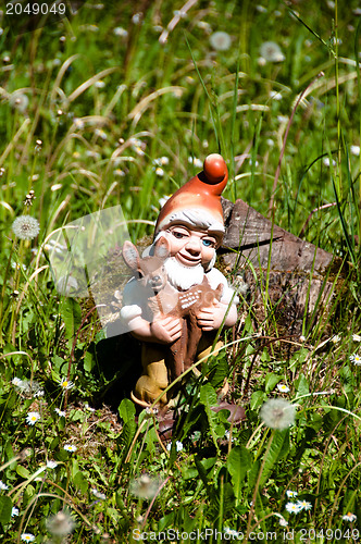 Image of Garden Dwarf