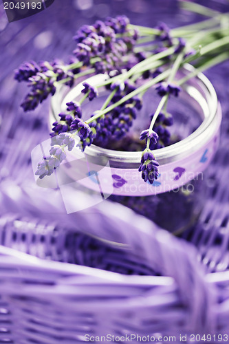 Image of lavender flowers