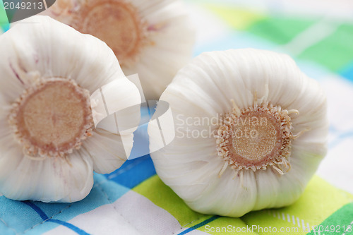 Image of fresh garlic