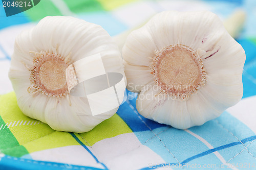 Image of fresh garlic