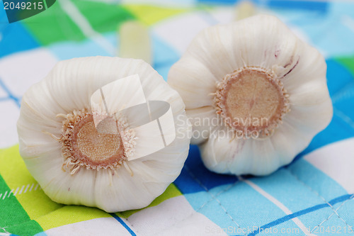 Image of fresh garlic