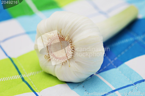 Image of fresh garlic