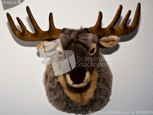 Image of Stuffed Deer Mount