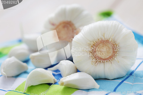 Image of fresh garlic