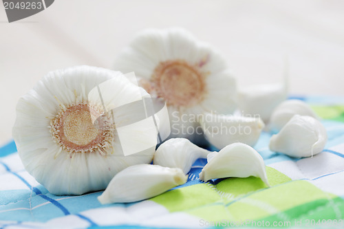 Image of fresh garlic