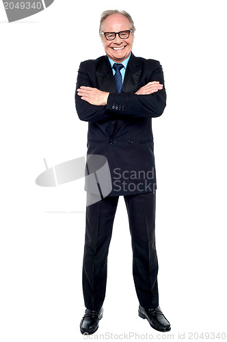 Image of Confident cheerful matured businessperson