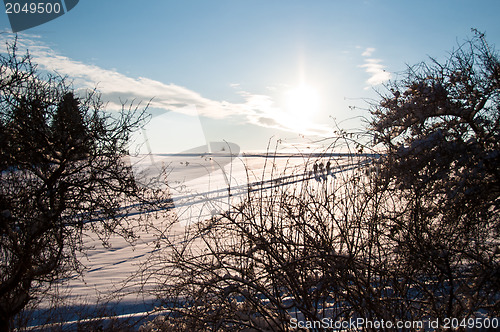 Image of Walking in powder snow