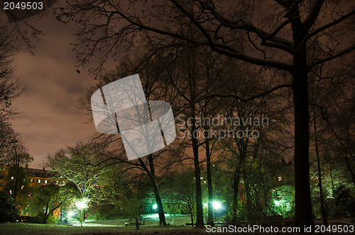 Image of Snowy park in winter