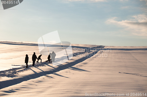 Image of Walking in powder snow