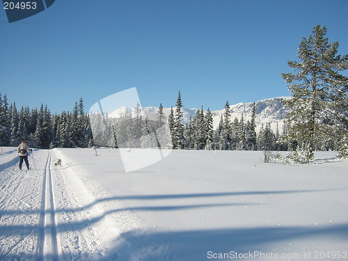 Image of Skiing in the Norwegian mountains