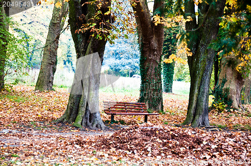 Image of Fall scenery