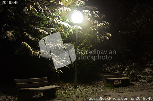 Image of Nightly park scene