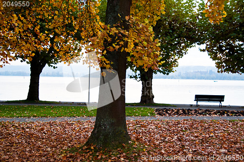 Image of Lake Constance in fall