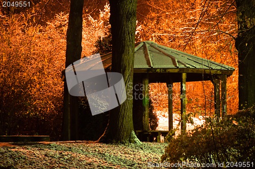 Image of Snowy park in winter