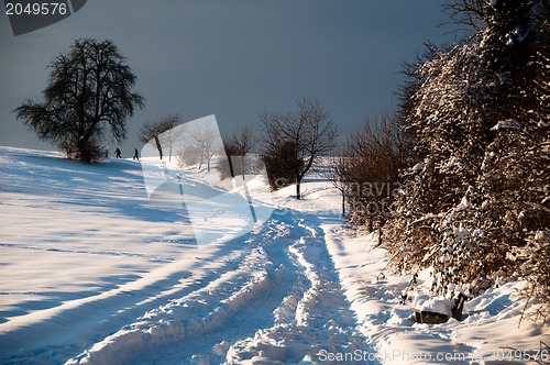 Image of Walking in powder snow