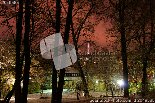 Image of Snowy park in winter