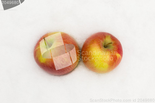 Image of Red apples in the snow