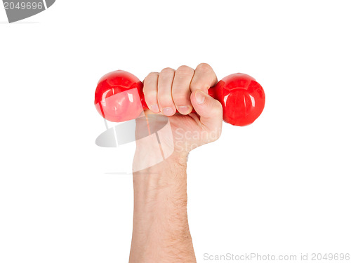 Image of Red dumbbells in the hands of a man, isolated