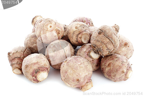 Image of Jerusalem Artichoke