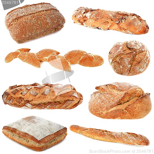 Image of group of breads