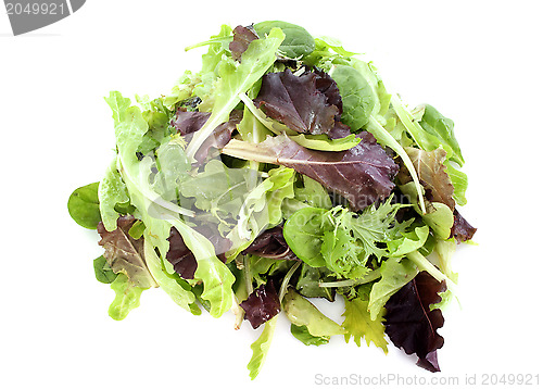 Image of mesclun salad