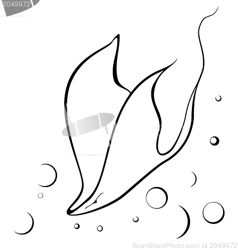 Image of Black and white Ray skate 