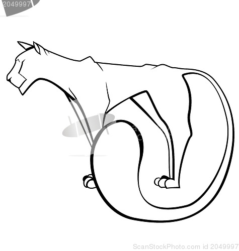 Image of Black and white panther 