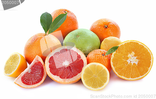 Image of citrus fruits