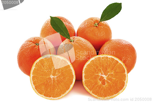 Image of oranges