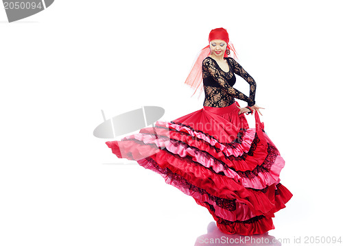 Image of Flamenco 