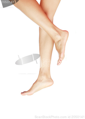 Image of Legs