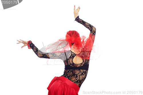 Image of Back of flamenco dancer
