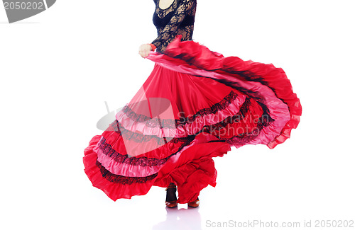 Image of Flamenco