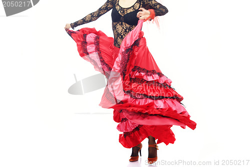 Image of Flamenco