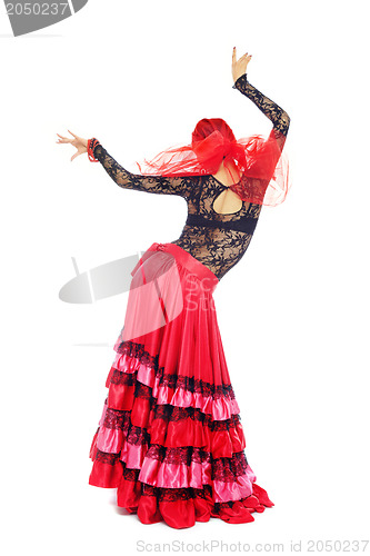 Image of Flamenco