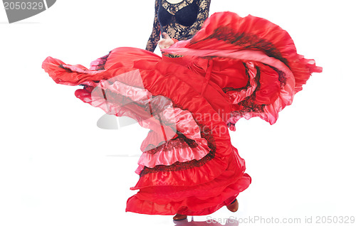 Image of Gypsy petticoat