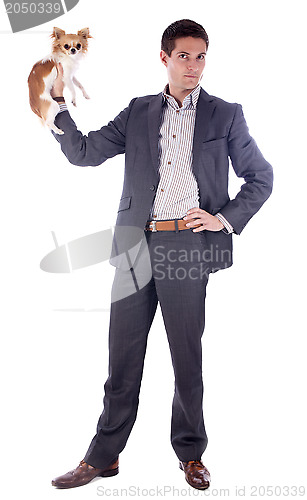 Image of business man and chihuahua