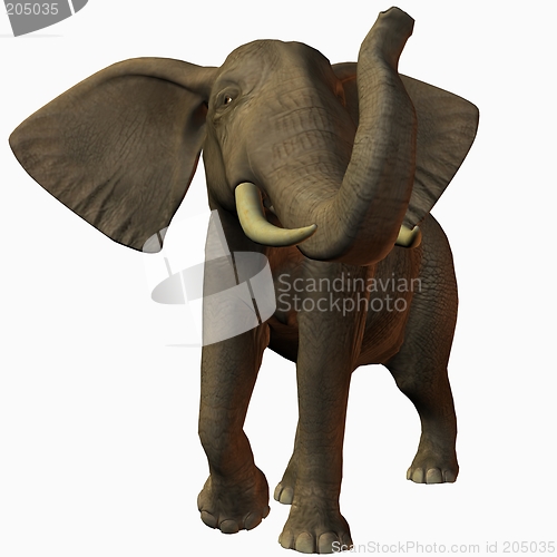 Image of African Elephant