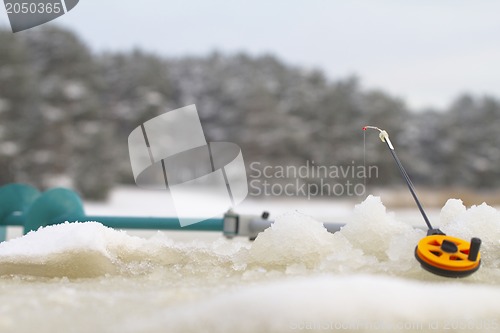 Image of freshwater perch fishing