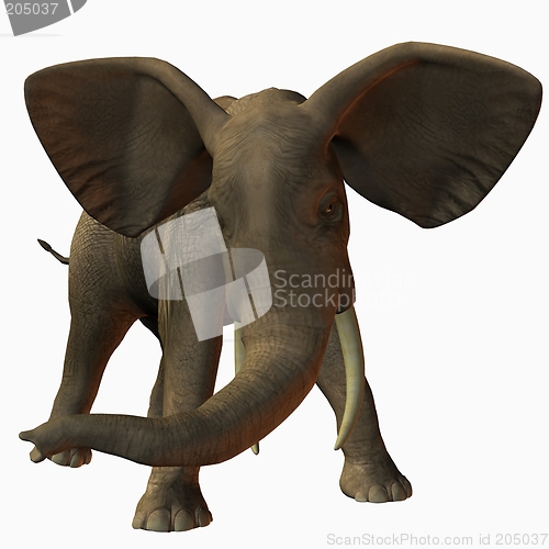 Image of African Elephant
