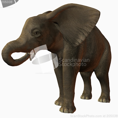 Image of Baby Elephant